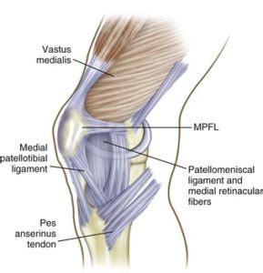 MPFL Reconstruction Archives | SSOR Physical Therapy