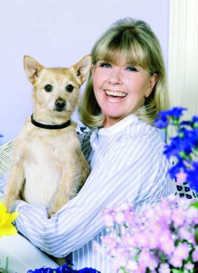 Doris Day and her fight for animals - Dogslife. Dog Breeds Magazine