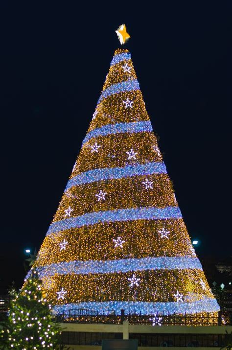 National Christmas Tree, Washington DC, USA Editorial Stock Image ...