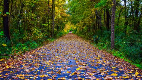 The Most Beautiful Bike Trails Across The US To Add Your To Bucket List