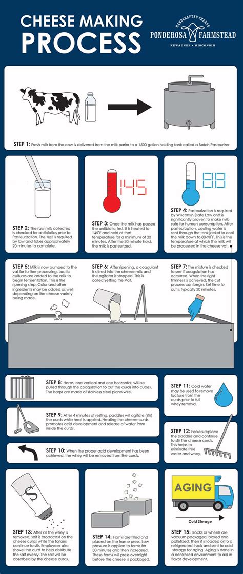 Cheese Making Process