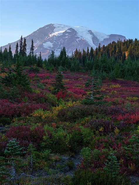 Mount Rainier Paradise Photograph by Doug Ash - Fine Art America