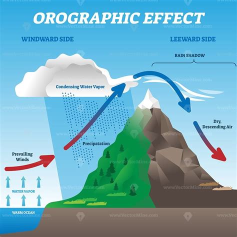 Orographic effect vector illustration - VectorMine