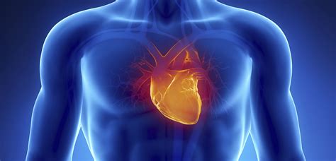 Inflammation Testing Could Prevent 10% of Heart Attacks and Strokes ...