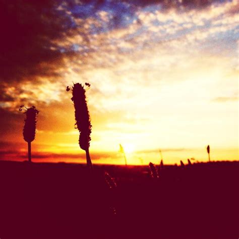 Premium Photo | Silhouette of landscape at sunset