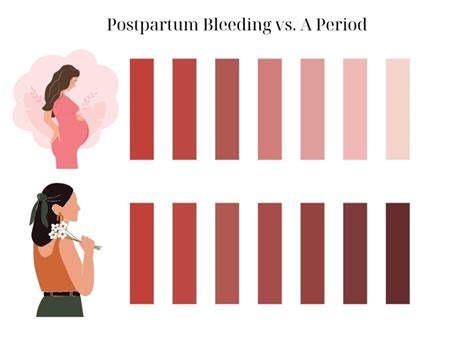 4 Weeks Postpartum Bleeding: What’s Normal and What’s Not – The Mom ...