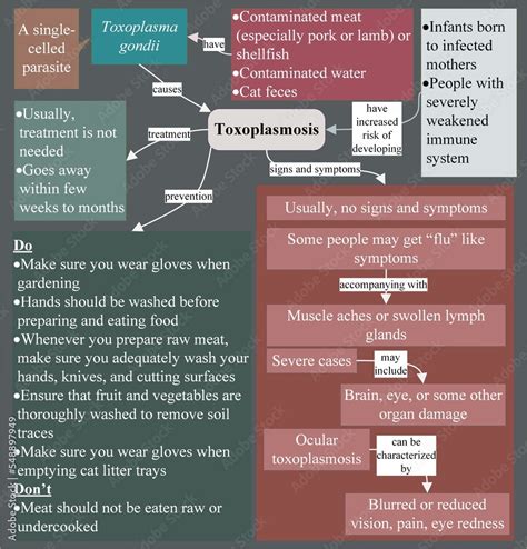 Toxoplasma gondii causes the infection, Toxoplasmosis Stock ...