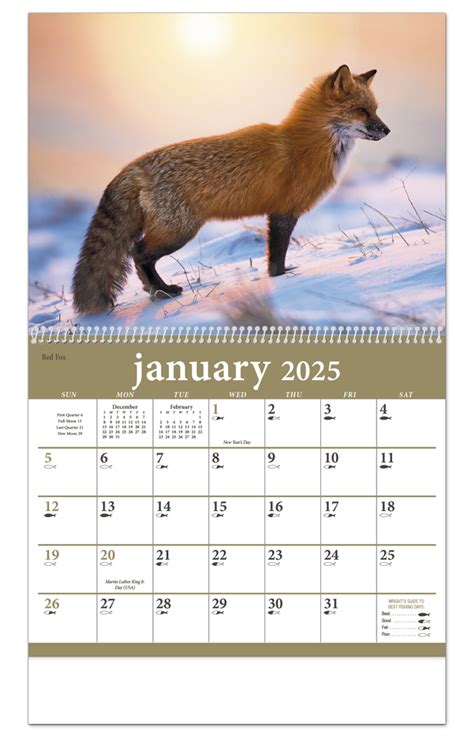 2025 North American Wildlife Calendar (1801) | 11" X 19" Imprinted ...