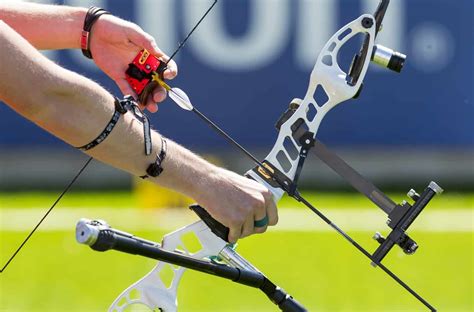 Are Recurve Bows Ambidextrous? - The Body Training