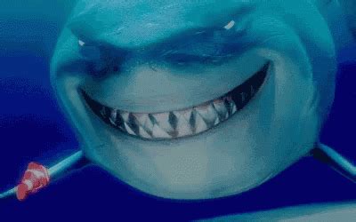 Shark GIFs | my world gifs - my world pink | Shark gif, Shark, Smile gif