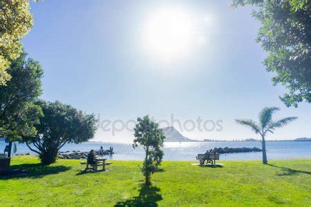 Tauranga harbour Stock Photos, Royalty Free Tauranga harbour Images ...