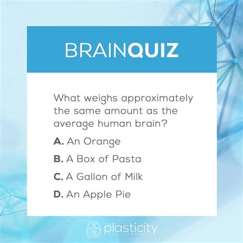 Brain Quiz | Brain quiz, Human brain, Brain games