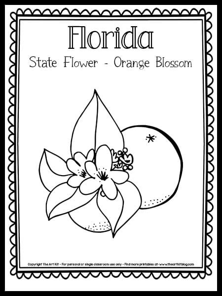 Florida State Symbol Coloring Pages