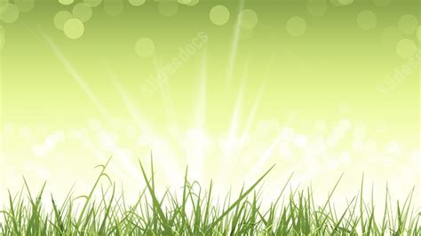 Light Green Beautiful Festival Easter Grass Powerpoint Background For ...