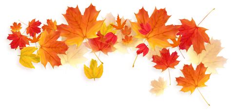 Autumn Falling Leaves 11016125 PNG