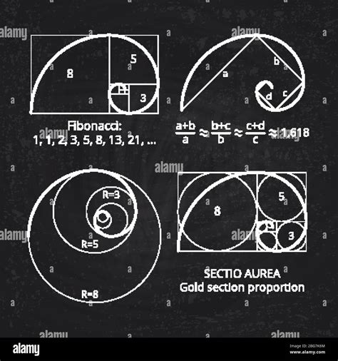 Scheme of golden ratio section, fibonacci spiral on blackboard vector ...