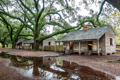 Oak Alley Plantation Tour from New Orleans - Book at Civitatis.com