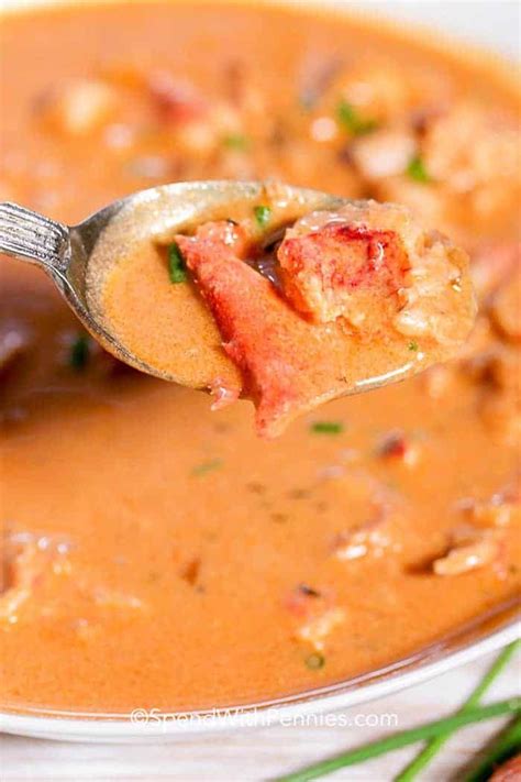 Lobster Bisque is a delicious creamy soup that is impressive yet easy ...