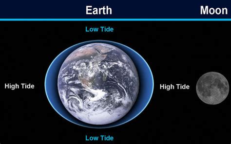 Tides | Earth Science