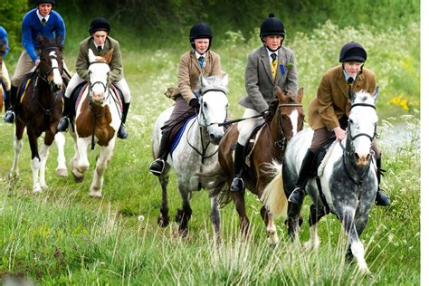 Horse Riding & Pony Trekking in Scotland | Horses, Horse blankets ...