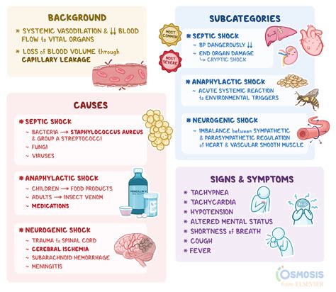 Distributive Shock: What Is It, Signs, Treatment | Osmosis