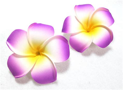 Plumeria Flower - The Common Name For Plumeria Is Frangipani In Honor ...