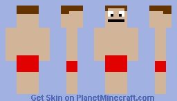 PMC Skin 3D Minecraft Skin