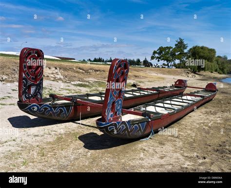 dh Waikato River NGARUAWAHIA NEW ZEALAND Maori waka racing canoes ...