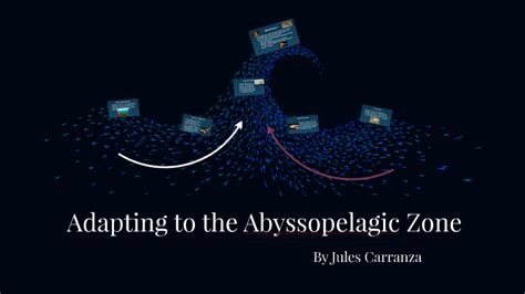 Adapting to the Abyssopelagic Zone by Julianna Carranza on Prezi