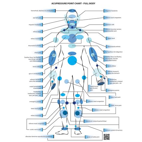 PRESSURE POINTS CHART – FULL BODY & FEET - AZURAI