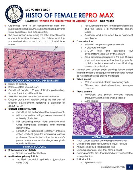 SOLUTION: Histology of female reproductive system - Studypool