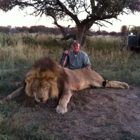 Lion Hunting In South Africa