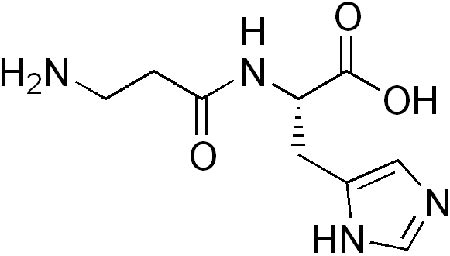 Dipeptide Definition, Structure & Examples - Lesson | Study.com