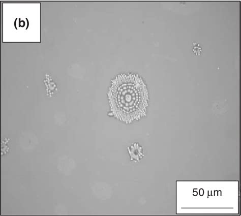 Figure 7 from Ag-Ti Alloy Used in ITO-Metal-ITO Transparency Conductive ...