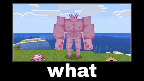 Minecraft Wait What Meme Part 1 - BUFF AXOLOTL - YouTube