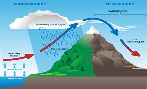 44 rain shadow effect diagram - Modern Wiring Diagram