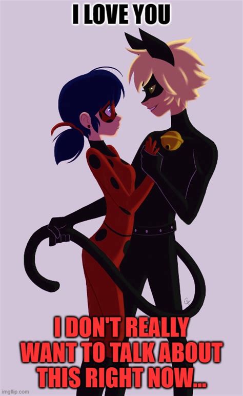 LadyBug And Cat Noir - Imgflip