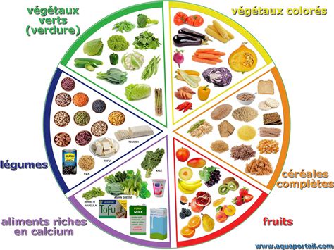 Nutriment essentiel : définition et explications