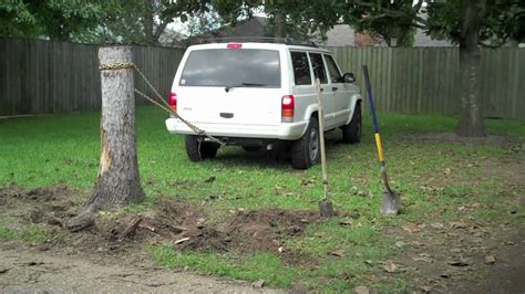 What Are Some DIY Stump Removal Methods | Red Cedar Inc