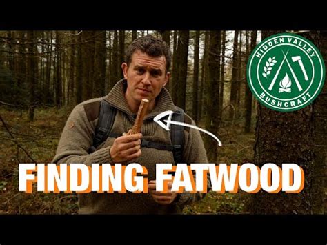 What is Fatwood? How Do I Find it and Use It? - Survival Sullivan