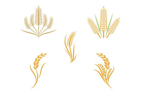 Wheat Logo Vector Design Graphic by Redgraphic · Creative Fabrica