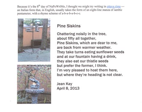 PINE SISKINS – an ottava rima poem by Jean Kay | poetrytoinspire