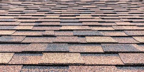 Best Types of Asphalt Roof Shingles in Florida | Classic Roofing