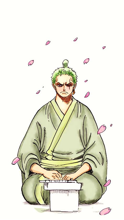 Zoro, Wano, Anime, One Piece, Manga HD phone wallpaper | Pxfuel