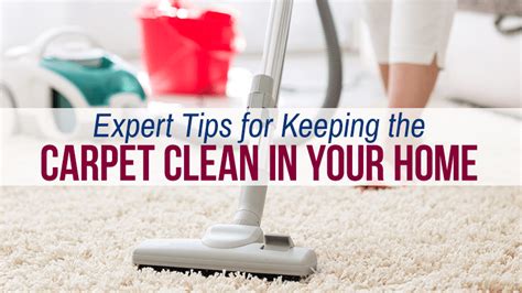 Keep Carpet Clean with These Expert Tips | Chet's Cleaning