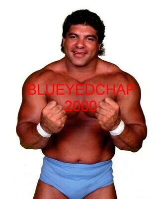 DON MURACO WRESTLER 8 X 10 WRESTLING PHOTO WWF | eBay