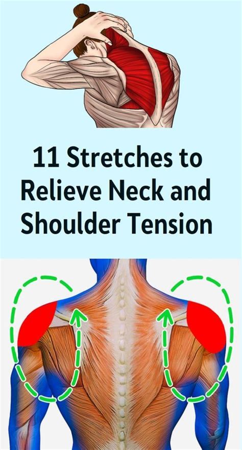 A stiff neck and tight shoulders are very well known issues for many of ...