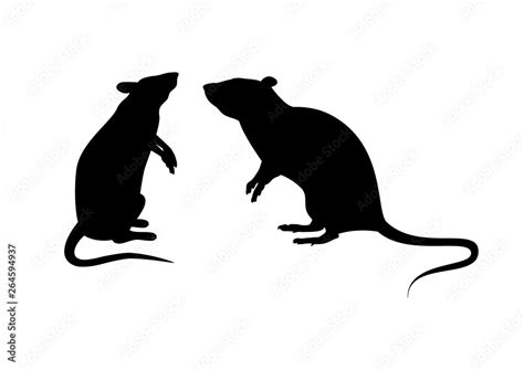 Two rats silhouette vector. Standing rat icon vector. Rats isolated on ...