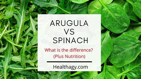 Arugula Vs Spinach, What is the Difference? (Plus Nutrition) - Healthagy