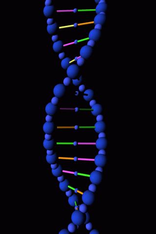 the structure of a human cell is shown in blue